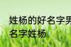 姓杨的好名字男孩 独一无二的好听男名字姓杨