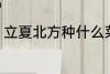 立夏北方种什么菜 立夏北方种哪些菜