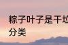 粽子叶子是干垃圾吗 粽子叶子的垃圾分类