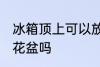 冰箱顶上可以放花盆吗 冰箱顶上能放花盆吗