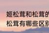 姬松茸和松茸的区别是什么 姬松茸和松茸有哪些区别