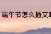端午节怎么插艾草 端午节插艾草方法
