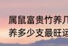 属鼠富贵竹养几支最旺运 属鼠富贵竹养多少支最旺运