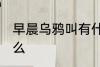 早晨乌鸦叫有什么兆头 乌鸦叫预示什么