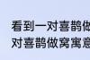 看到一对喜鹊做窝有什么兆头 看到一对喜鹊做窝寓意