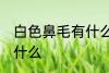 白色鼻毛有什么兆头 白色鼻毛代表了什么