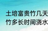 土培富贵竹几天浇一次水啊 土培富贵竹多长时间浇水一次