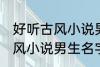 好听古风小说男生名字 韵味十足的古风小说男生名字
