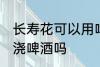 长寿花可以用啤酒浇吗 可以给长寿花浇啤酒吗