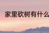 家里砍树有什么禁忌 家里砍树禁忌