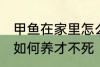 甲鱼在家里怎么养才不死 甲鱼在家里如何养才不死