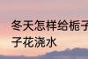 冬天怎样给栀子花浇水 冬天如何给栀子花浇水