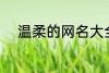 温柔的网名大全 比较温柔的网名