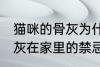 猫咪的骨灰为什么不能放家里 宠物骨灰在家里的禁忌