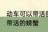 动车可以带活的螃蟹吗 动车可不可以带活的螃蟹
