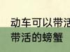 动车可以带活的螃蟹吗 动车可不可以带活的螃蟹