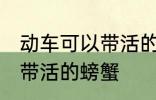 动车可以带活的螃蟹吗 动车可不可以带活的螃蟹