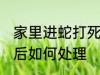 家里进蛇打死后怎么办 家里进蛇打死后如何处理