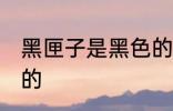 黑匣子是黑色的吗 黑匣子是不是黑色的