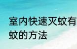 室内快速灭蚊有什么妙招 室内快速灭蚊的方法