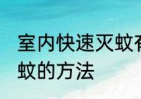 室内快速灭蚊有什么妙招 室内快速灭蚊的方法