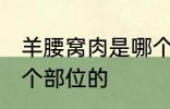 羊腰窝肉是哪个部位的 羊腰窝肉是哪个部位的
