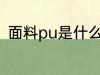 面料pu是什么材料 面料pu是啥材料