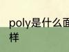 poly是什么面料 poly是什么面料怎么样