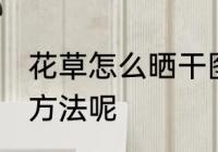 花草怎么晒干图片 花草晒干有什么好方法呢