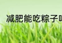 减肥能吃粽子吗 减肥可以吃粽子吗