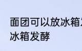 面团可以放冰箱发酵吗 面团能不能放冰箱发酵