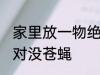 家里放一物绝对没苍蝇 家里放什么绝对没苍蝇