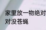 家里放一物绝对没苍蝇 家里放什么绝对没苍蝇