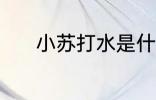 小苏打水是什么 小苏打水介绍
