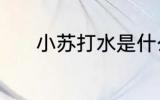 小苏打水是什么 小苏打水介绍