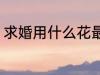 求婚用什么花最好 求婚用哪些花最好