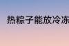 热粽子能放冷冻吗 热粽子怎么保存