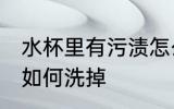 水杯里有污渍怎么洗掉 水杯里有污渍如何洗掉