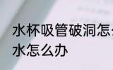 水杯吸管破洞怎么处理 吸管保温杯漏水怎么办