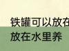 铁罐可以放在水里养吗 铁罐可不可以放在水里养