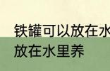 铁罐可以放在水里养吗 铁罐可不可以放在水里养