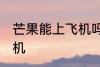 芒果能上飞机吗 芒果可不可以带上飞机