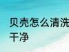 贝壳怎么清洗里面的沙 贝壳如何清洗干净