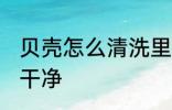 贝壳怎么清洗里面的沙 贝壳如何清洗干净