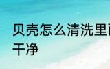 贝壳怎么清洗里面的沙 贝壳如何清洗干净