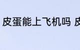 皮蛋能上飞机吗 皮蛋能不能带上飞机