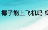 椰子能上飞机吗 椰子可以带上飞机吗