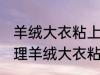 羊绒大衣粘上白色的毛怎么处理掉 处理羊绒大衣粘上白色的毛的方法