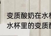 变质酸奶在水杯里怎么清洗 如何清洗水杯里的变质酸奶