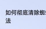 如何彻底清除蜘蛛网 蜘蛛网的清除方法